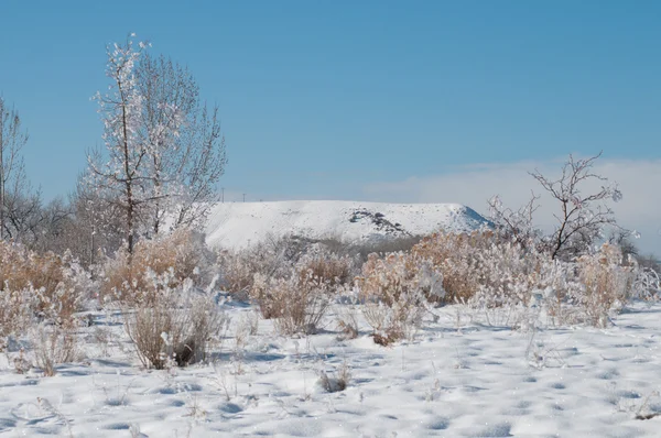 Çölün ortasında kış — Stok fotoğraf