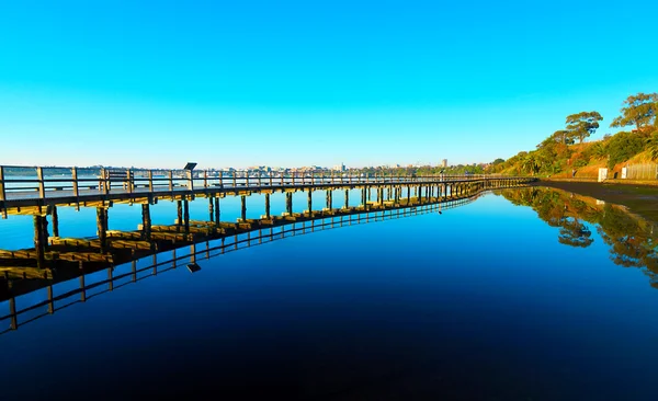 Geelong coastline — Stock Photo, Image