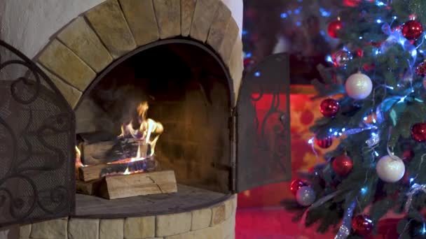 Ξύλο Καίγεται Στο Τζάκι Όμορφο Τζάκι Δίπλα Στο Χριστουγεννιάτικο Δέντρο — Αρχείο Βίντεο