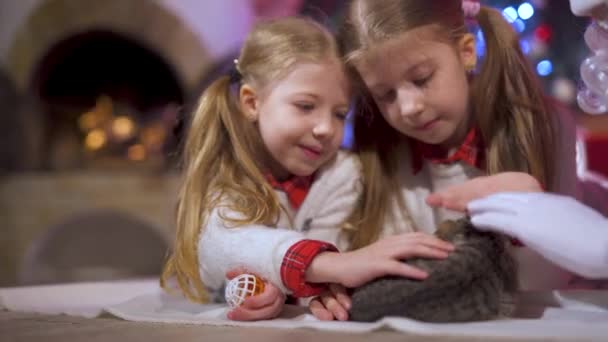 Chicas Guapas Con Gatito Adentro Niños Los Mismos Suéteres Navidad — Vídeo de stock