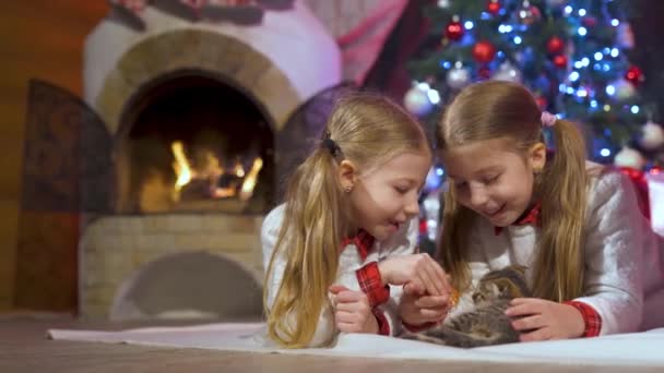 새해에 귀여운 아이들 과귀여운 고양이 크리스마스 트리와 벽난로 고양이와 즐거운 — 비디오