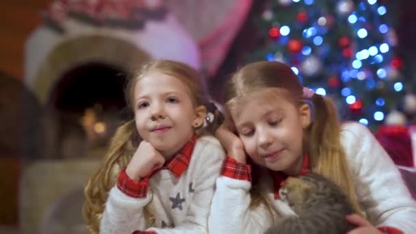 Niños Felices Gatito Fondo Habitación Navidad Niñas Encantadoras Con Lindo — Vídeo de stock