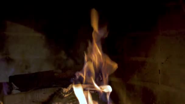 レンガの暖炉で燃える明るい炎 居心地の良いロッジで暖炉で木製の丸太 幸せな冬の休日 屋内にクリスマスツリーの近くにサンタクロース — ストック動画