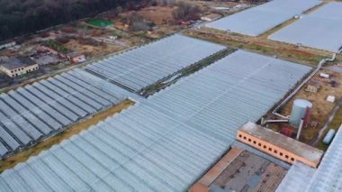Drone büyük cam endüstriyel seraların üzerinde uçuyor. Kapalı alanda tarım, ısı kurtarma ve organik bitki koruma kavramı.