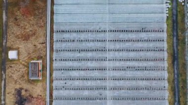 Seraların üzerinde uçan ya da uçan. Cam seraların yakınındaki mühendislik binaları.