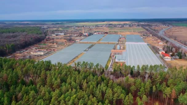 Serres Verre Modernes Bâtiments Industriels Dans Champ Près Forêt Vue — Video