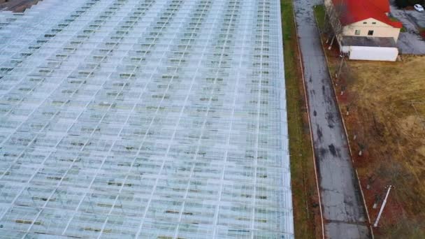 Flying Glass Greenhouse Vegetables Large Industrial Greenhouses — Video Stock