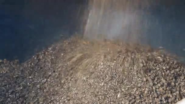 Briquettes Bois Pressées Sortant Équipement Industriel Biomasse Concept Protection Environnement — Video