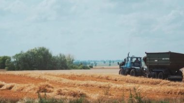 Karavanlı bir traktör sarı buğdaylı bir tarlada hareket ediyor. Çiftlikte tahıl topluyorum..