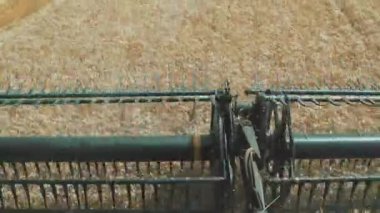 Buğday biçmek için biçme makinesinin mekanizması. Bir hasat makinası tarlada olgun buğday topluyor..