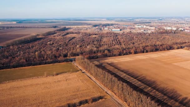 Combine Wheat Aerial Landscape Agriculture Harvesting Wheat Combine Combine Sunset — Stock Video
