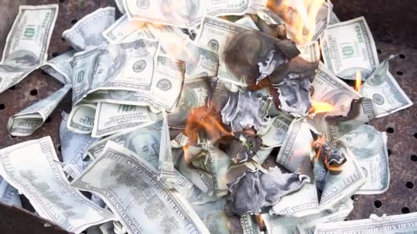 Πλαστά Χρήματα Αργή Κίνηση Των Δολαρίων Χρήματα Στη Φωτιά Έχασε — Αρχείο Βίντεο