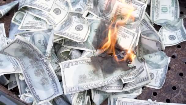 Фальшивые Деньги Горят Медленно Горящая Валюта Поддельные Доллары — стоковое видео