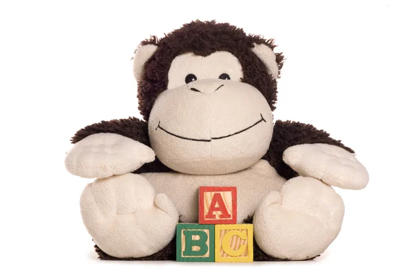 Abc alfabe bloklarla Cheeky monkey yumuşak oyuncak — Stok fotoğraf