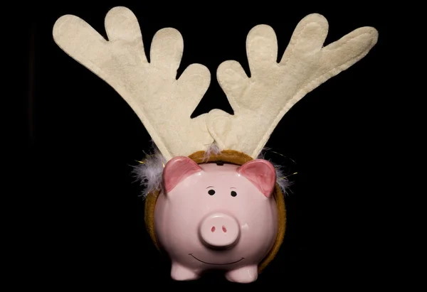 圣诞猪存钱罐 — 图库照片