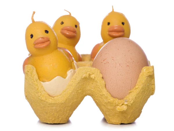 Decoraciones de pollo de Pascua con un recorte de huevo — Foto de Stock