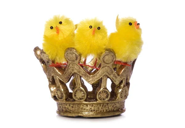 Three eater chicks in a crown cut out — Stock Photo, Image