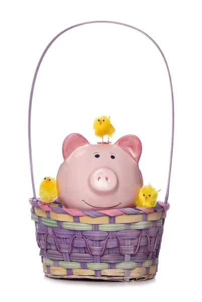 Easter chicksand piggy bank in a basket cut out — Stock Photo, Image
