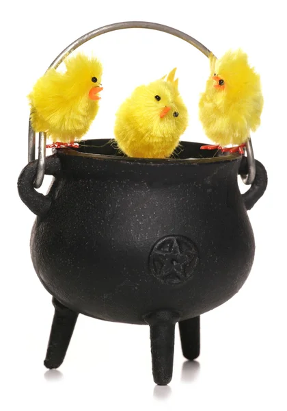 Easter chicks in a cauldren — Stock Photo, Image
