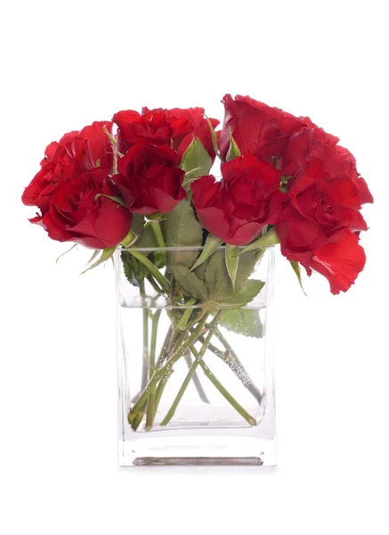 Strauß roter Rosen — Stockfoto