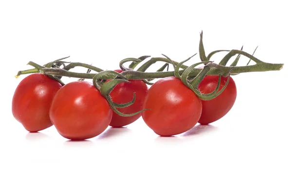 Weintomaten — Stockfoto