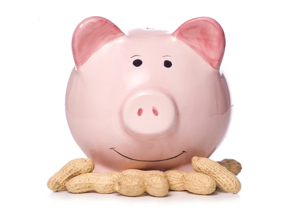 Taxas de juro baixas Piggy Bank — Fotografia de Stock