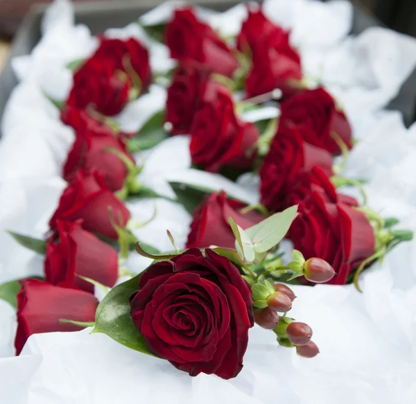 Rote Hochzeitsrosen — Stockfoto