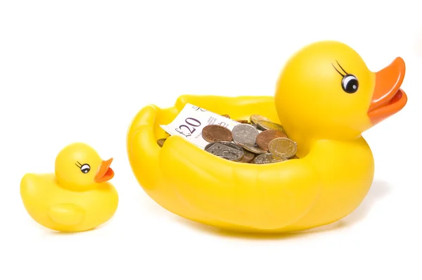 Gumovou kachnu s penězi — Stock fotografie