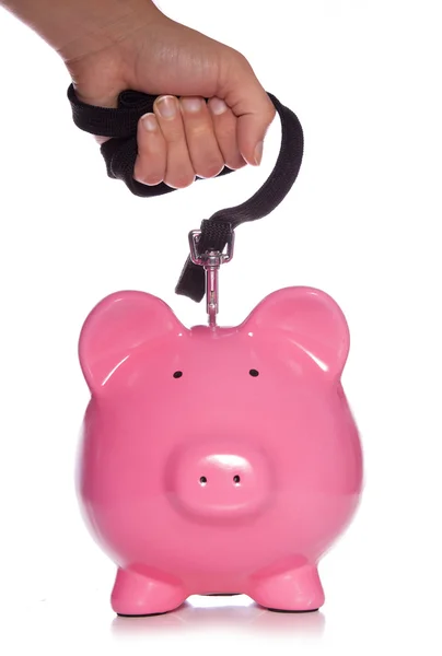 Beheren van uw geld piggy bank — Stockfoto