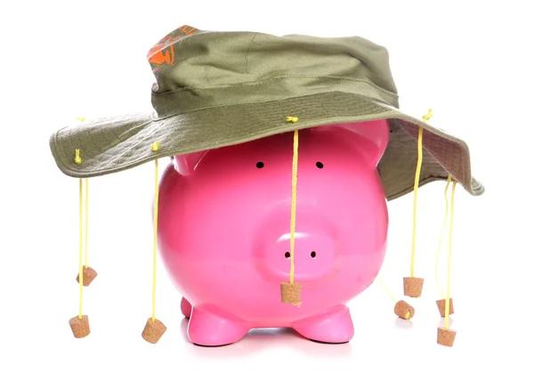 Piggy bank wearing an Australian cork hat — Stock Photo, Image