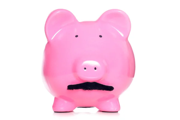Banco porquinho com um bigode — Fotografia de Stock