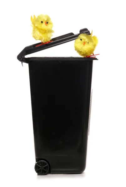 Trash with chicks — Stock Photo, Image