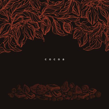 Kakao ve kakao tarlası. Vektör grafik arkaplan, el çizimi sınır. Kokain tropikal meyve, fasulye, şeker, şeker. Resim çizimi. Tatlı dükkanı, kafe için klasik tasarım.