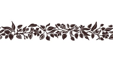 Badem sınır çizgisi. Vektör kusursuz desen. Dalın şekli, fındık, çiçek, yaprak. Beyaz arka planda eski bir çiçek çiftliği. Protein yemek, organik süt