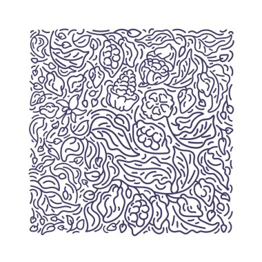 Kakao kare soyut desen. Vektör doğrusal dal, basitçe yapraklar, çiçek. Beyaz arkaplanda grafiksel çizimler. Organik çikolata tasarımı, tropikal orman