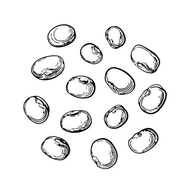 Mung fasulyesi. Vektör grafik seti. Doğal organik protein yiyeceği. Sağlıklı beslenme, vejetaryen ürün