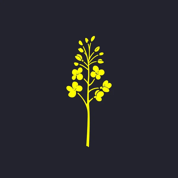 Canola Symbole Moutarde Production Biocarburants Huile Aliments Mélangés Cosmétiques Détergents — Image vectorielle