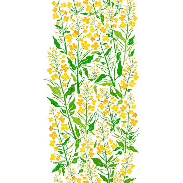 Rapeseed Border Floral Seamless Pattern Vector Flower Strip Graphic Nature — Archivo Imágenes Vectoriales