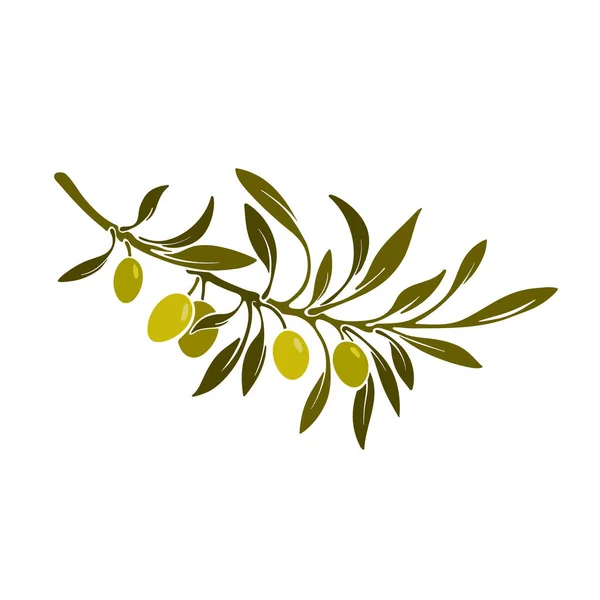 Olive Antique Symbol Vector Branch Oil Fruit Bronze Leaves Nature Royaltyfria Stockvektorer