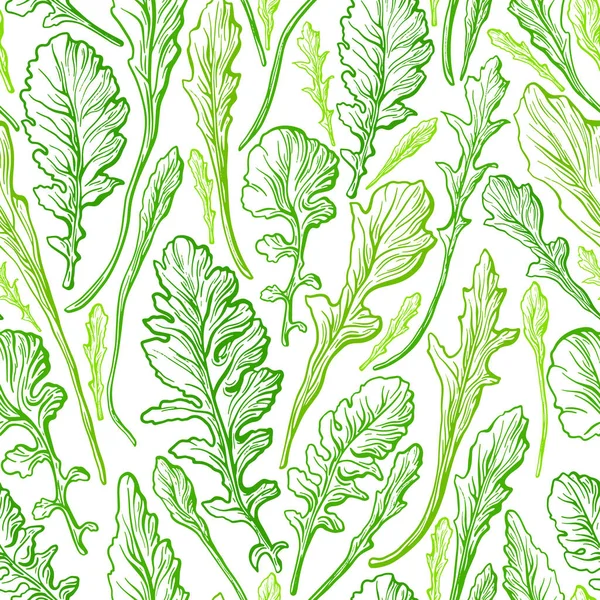 Arugula Textur Sömlöst Mönster Vektor Handritad Illustration Rucola Färska Gröna Vektorgrafik