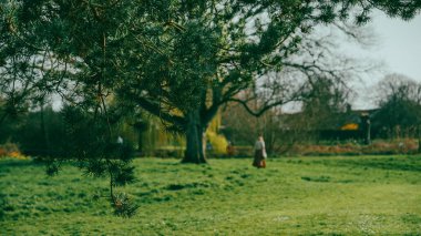 Glastonbury Town, eski kale kalıntıları ve Glastonbury Tor. Somerset 'teki İngiliz Bölgesi.