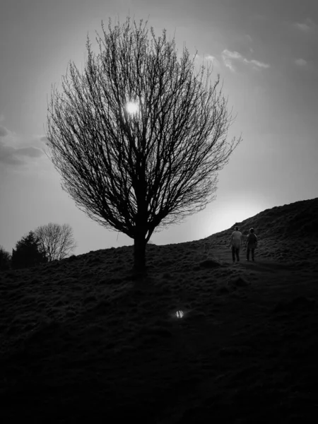 Město Glastonbury Staré Zříceniny Hradu Glastonbury Tor English County Somerset — Stock fotografie