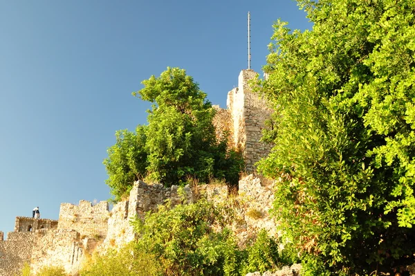 Строительство древней крепости, заросшей деревьями — стоковое фото