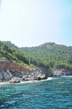 Yeşil çalılar ile büyümüş kayalık deniz kıyısı