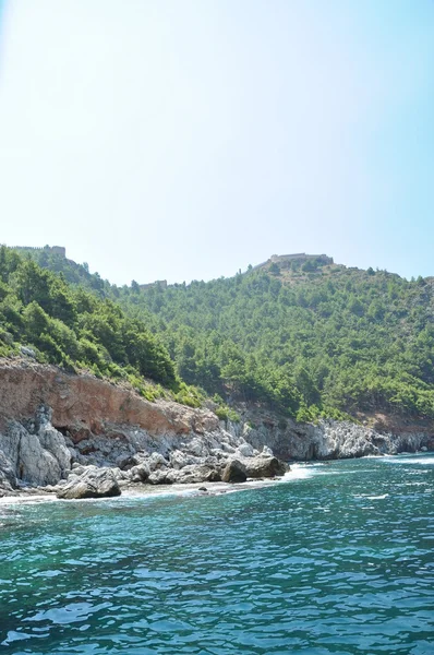 Kamenné moře pobřeží zarostlá zelené keře — Stock fotografie