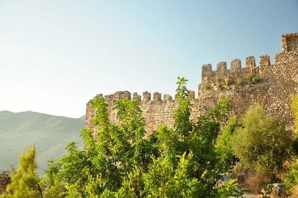 Defensive walls of an ancient fortress overgrown with trees — Stock Photo, Image