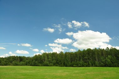 Yeşil glade, ahşap