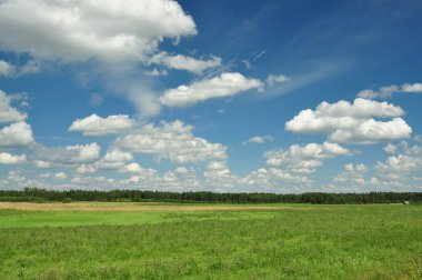 Green field and the wood over the horizon
