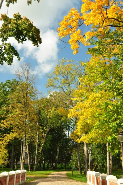 Fußweg durch die Brücke im Herbstpark — Stockfoto