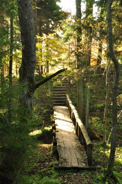 Ahşap ahşap köprü